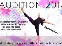 Audition 2017