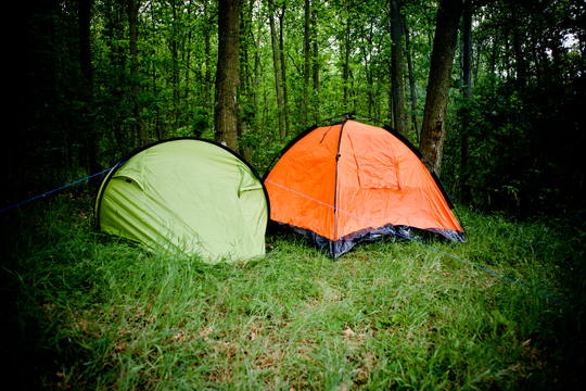 Flere skove med fri teltning forbedrer mulighederne for friluftsliv