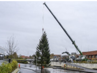 JUletræet kommer flyvende, foto: Holstebro kommune